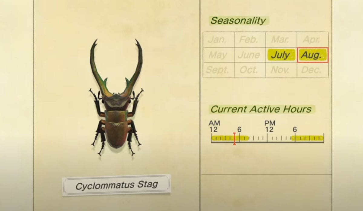 Cyclommatus Stag Animal Crossing New Horizons