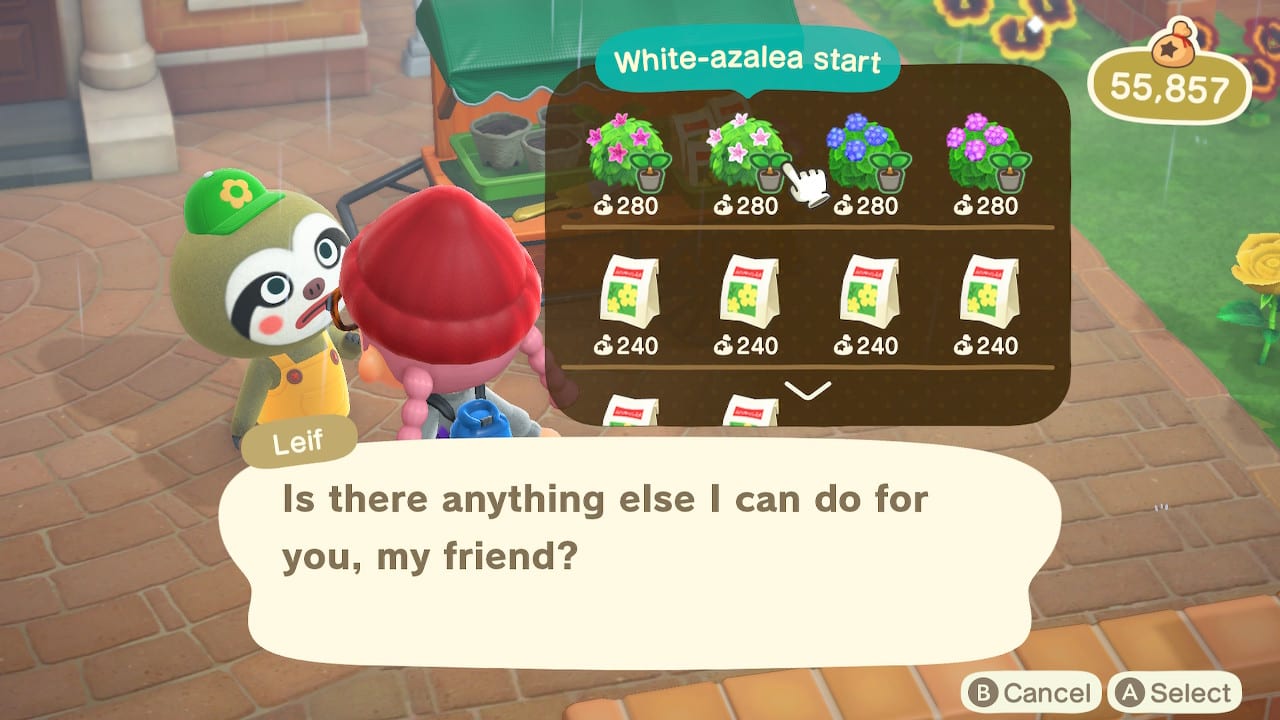 Pensieri su Animal Crossing New Horizons