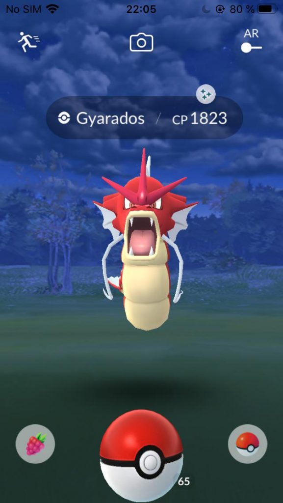 Deserto di Gyarados lucido di Pokémon GO