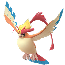 Mega Pigeon Boss Pokémon GO
