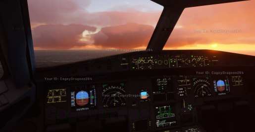 Simulatore di volo Microsoft (3)