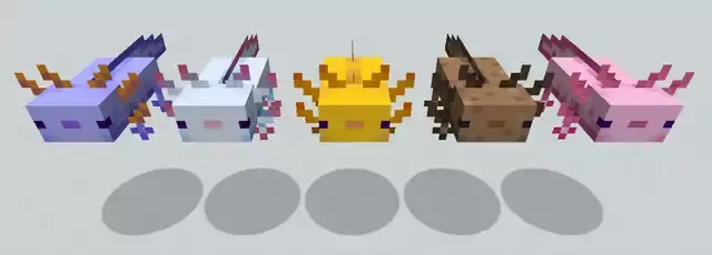 Varianti di colore Axolotl di Minecraft