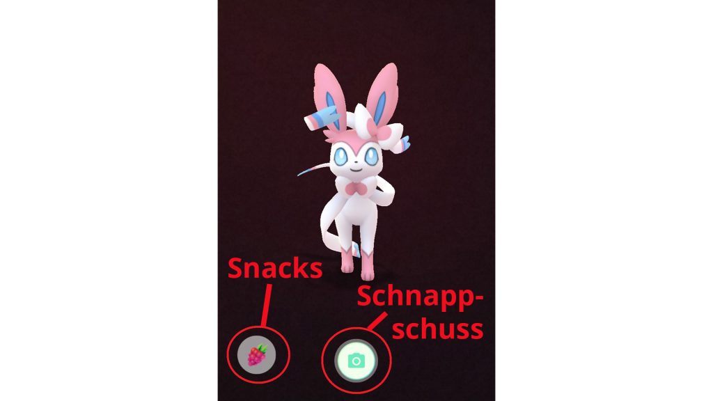 Pokémon GO - compagno di spiegazione