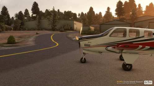 Simulatore di volo Microsoft (32)